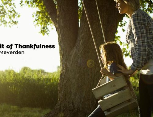The Fruit of Thankfulness